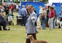 adare_dog_show_2013_57