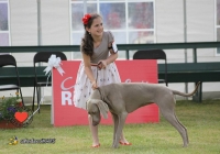 adare_dog_show_2013_6