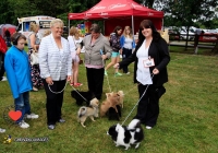 adare_dog_show_2013_67