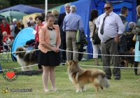 adare_dog_show_2013_7