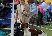 adare_dog_show_2013_8