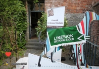 limerick-city-culture-showcase-78