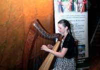 limerick-city-culture-showcase-83