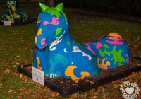 dolf_patijn_Limerick_urban_horse_19092014_0004