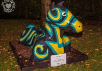 dolf_patijn_Limerick_urban_horse_19092014_0007
