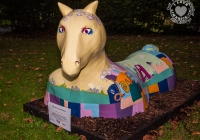 dolf_patijn_Limerick_urban_horse_19092014_0008