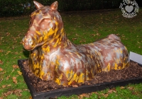 dolf_patijn_Limerick_urban_horse_19092014_0009