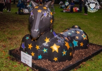 dolf_patijn_Limerick_urban_horse_19092014_0011