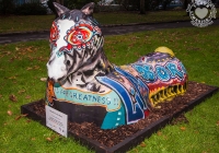 dolf_patijn_Limerick_urban_horse_19092014_0014