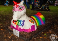 dolf_patijn_Limerick_urban_horse_19092014_0023