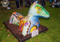 dolf_patijn_Limerick_urban_horse_19092014_0024