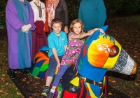 dolf_patijn_Limerick_urban_horse_19092014_0035