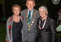 dolf_patijn_Limerick_urban_horse_19092014_0083