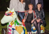 dolf_patijn_Limerick_urban_horse_19092014_0089