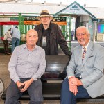 The sixth Limerick Garden Festival will bring garden talks and high-profile experts to the city this June 15, 2025. Picture: Olena Oleksienko/ilovelimerick
