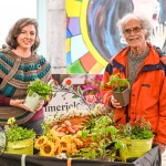 The 2026 Limerick Garden Festival is taking place on Sunday, June 2st at the Limerick Milk Market. Picture: Olena Oleksienko/ilovelimerick