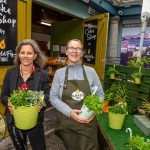 The 2026 Limerick Garden Festival is taking place on Sunday, June 2st at the Limerick Milk Market. Picture: Olena Oleksienko/ilovelimerick