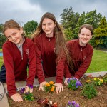 Limerick Going for Gold 2026 was launched at Moyross Community Centre on Thursday, June 11th, 2026. Picture: Olena Oleksienko/ilovelimerick