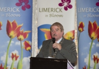Limerick in Bloom 077