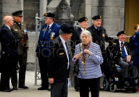 Limerick International Veterans Day Parade - ILL