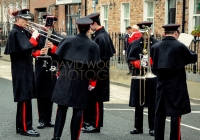 Limerick International Veterans Day Parade - ILL