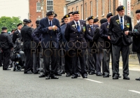 Limerick International Veterans Day Parade - ILL