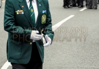 Limerick International Veterans Day Parade - ILL