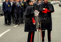 Limerick International Veterans Day Parade - ILL