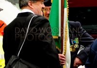 Limerick International Veterans Day Parade - ILL