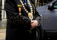 Limerick International Veterans Day Parade - ILL