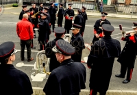 Limerick International Veterans Day Parade - ILL