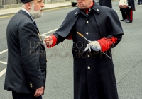 Limerick International Veterans Day Parade - ILL