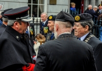 Limerick International Veterans Day Parade - ILL