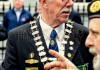 Limerick International Veterans Day Parade - ILL