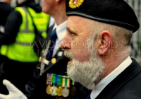 Limerick International Veterans Day Parade - ILL