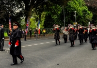 Limerick International Veterans Day Parade - ILL