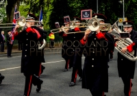 Limerick International Veterans Day Parade - ILL