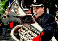 Limerick International Veterans Day Parade - ILL