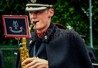 Limerick International Veterans Day Parade - ILL