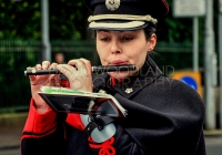 Limerick International Veterans Day Parade - ILL
