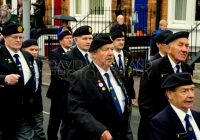 Limerick International Veterans Day Parade - ILL