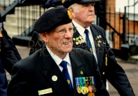 Limerick International Veterans Day Parade - ILL