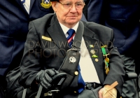 Limerick International Veterans Day Parade - ILL