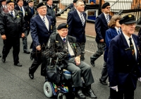 Limerick International Veterans Day Parade - ILL