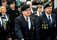 Limerick International Veterans Day Parade - ILL