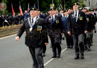 Limerick International Veterans Day Parade - ILL