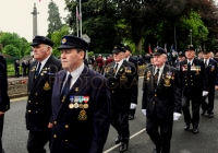 Limerick International Veterans Day Parade - ILL