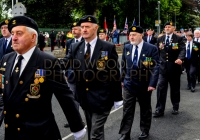 Limerick International Veterans Day Parade - ILL