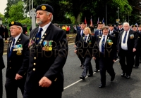 Limerick International Veterans Day Parade - ILL