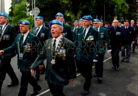 Limerick International Veterans Day Parade - ILL